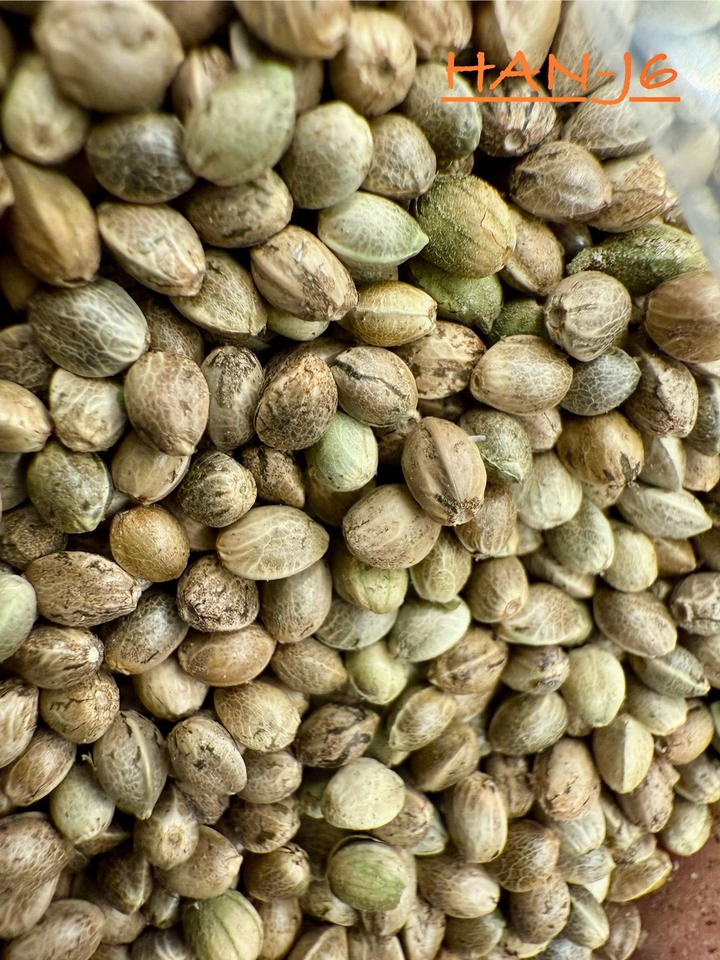 Ripkitty International & Domestic Raw Viable Hemp Seeds Sold in Bulk for Poultry, Equine Feeding, & Livestock