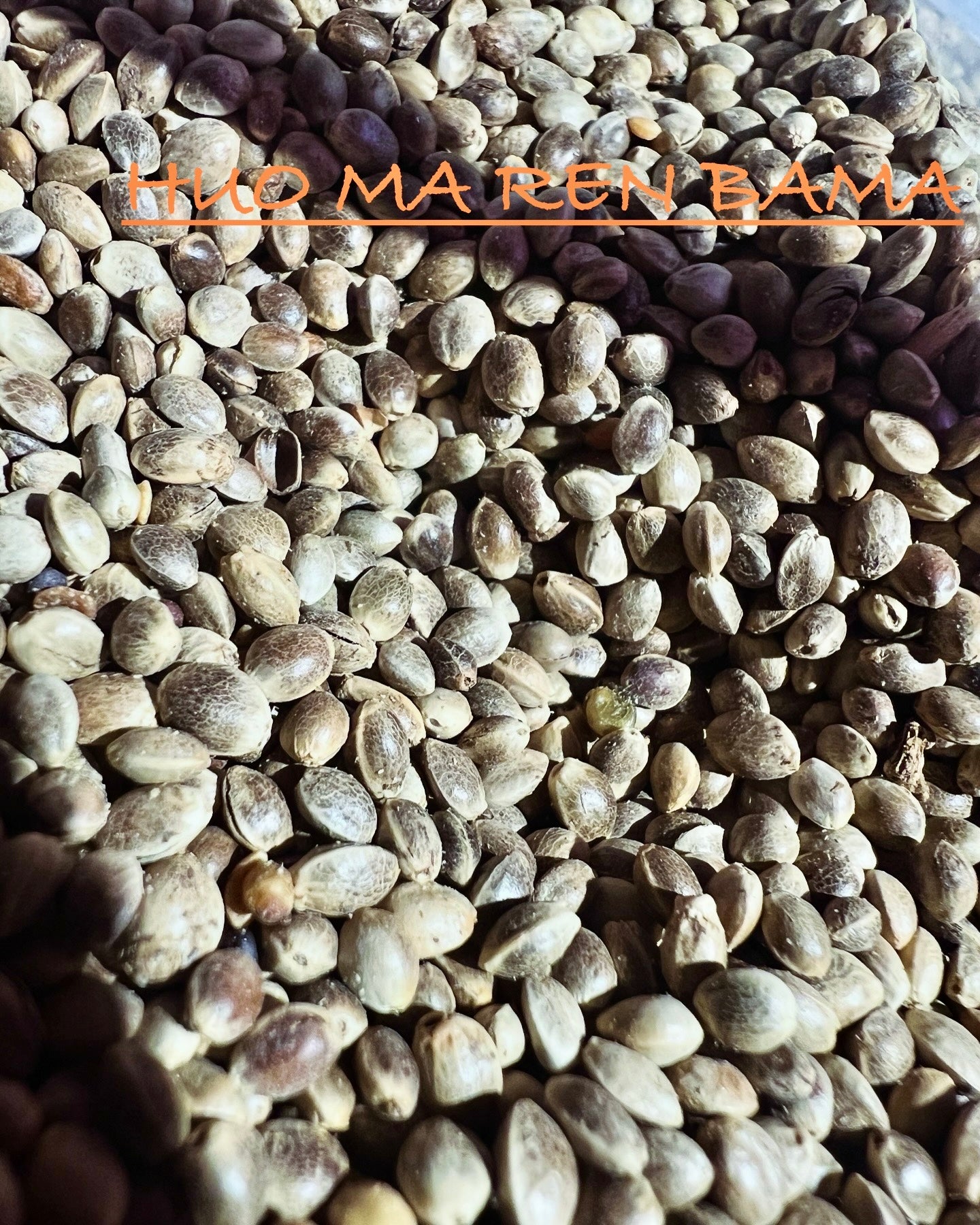 Ripkitty International & Domestic Raw Viable Hemp Seeds Sold in Bulk for Poultry, Equine Feeding, & Livestock