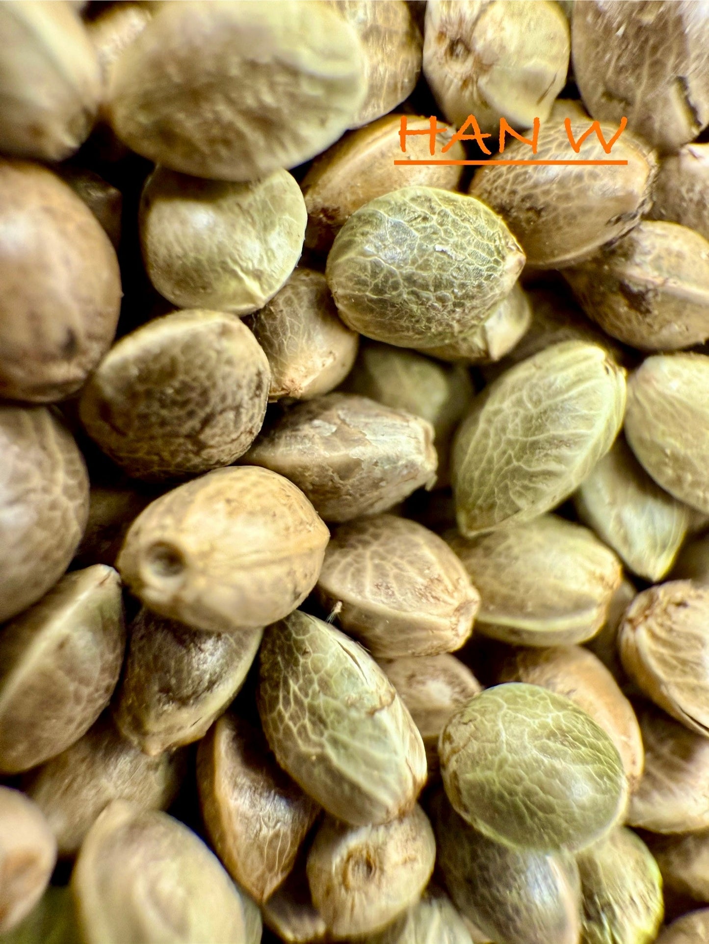 Ripkitty International & Domestic Raw Viable Hemp Seeds Sold in Bulk for Poultry, Equine Feeding, & Livestock