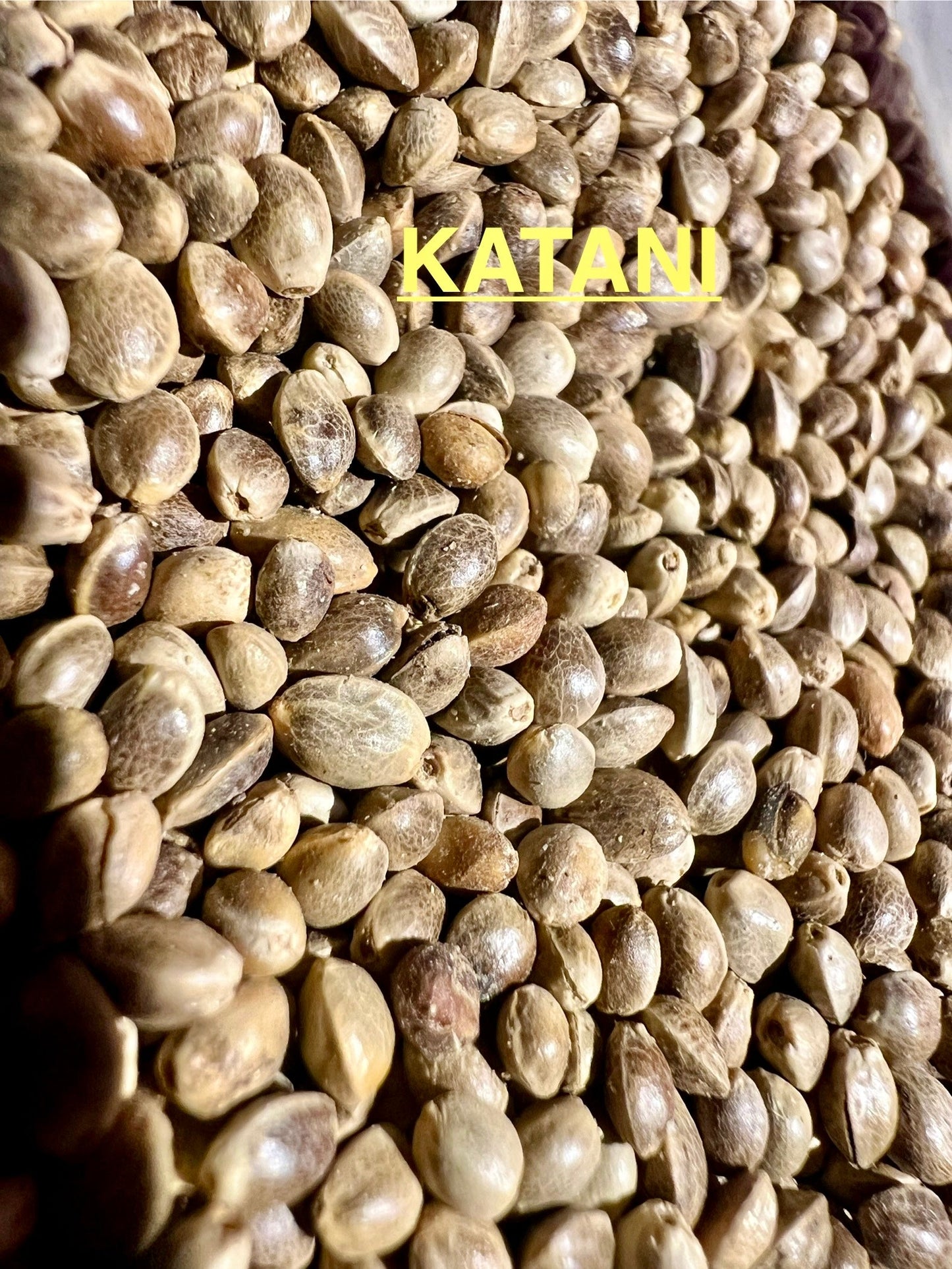 Ripkitty International & Domestic Raw Viable Hemp Seeds Sold in Bulk for Poultry, Equine Feeding, & Livestock