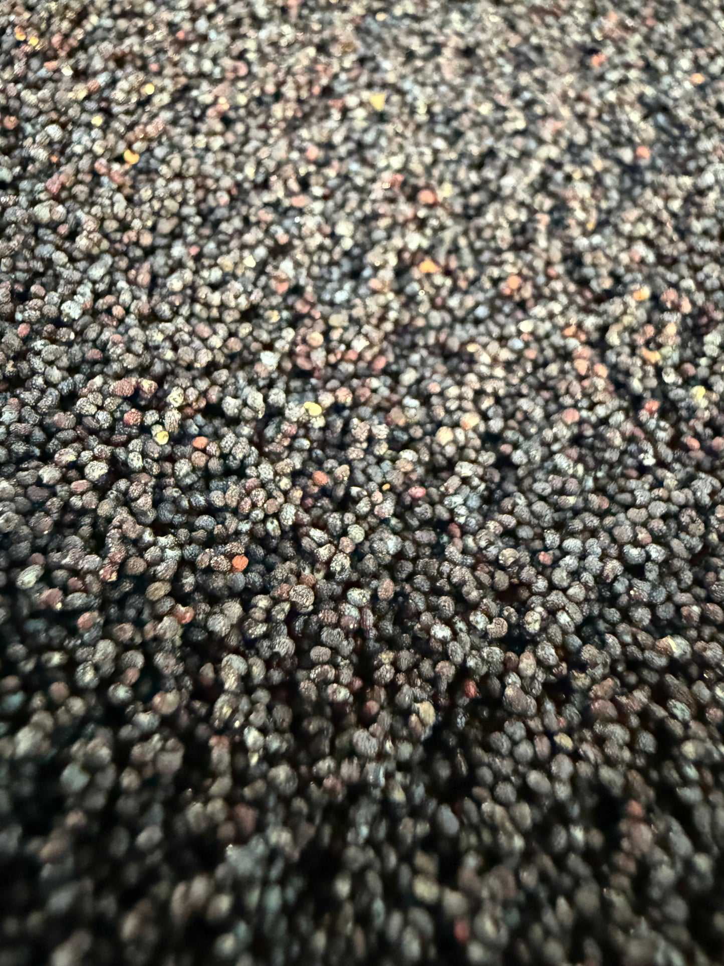 Ripkitty Premium Organic Culinary Poppy Seeds