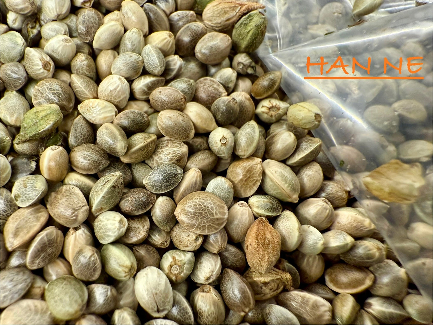 Ripkitty International & Domestic Raw Viable Hemp Seeds Sold in Bulk for Poultry, Equine Feeding, & Livestock