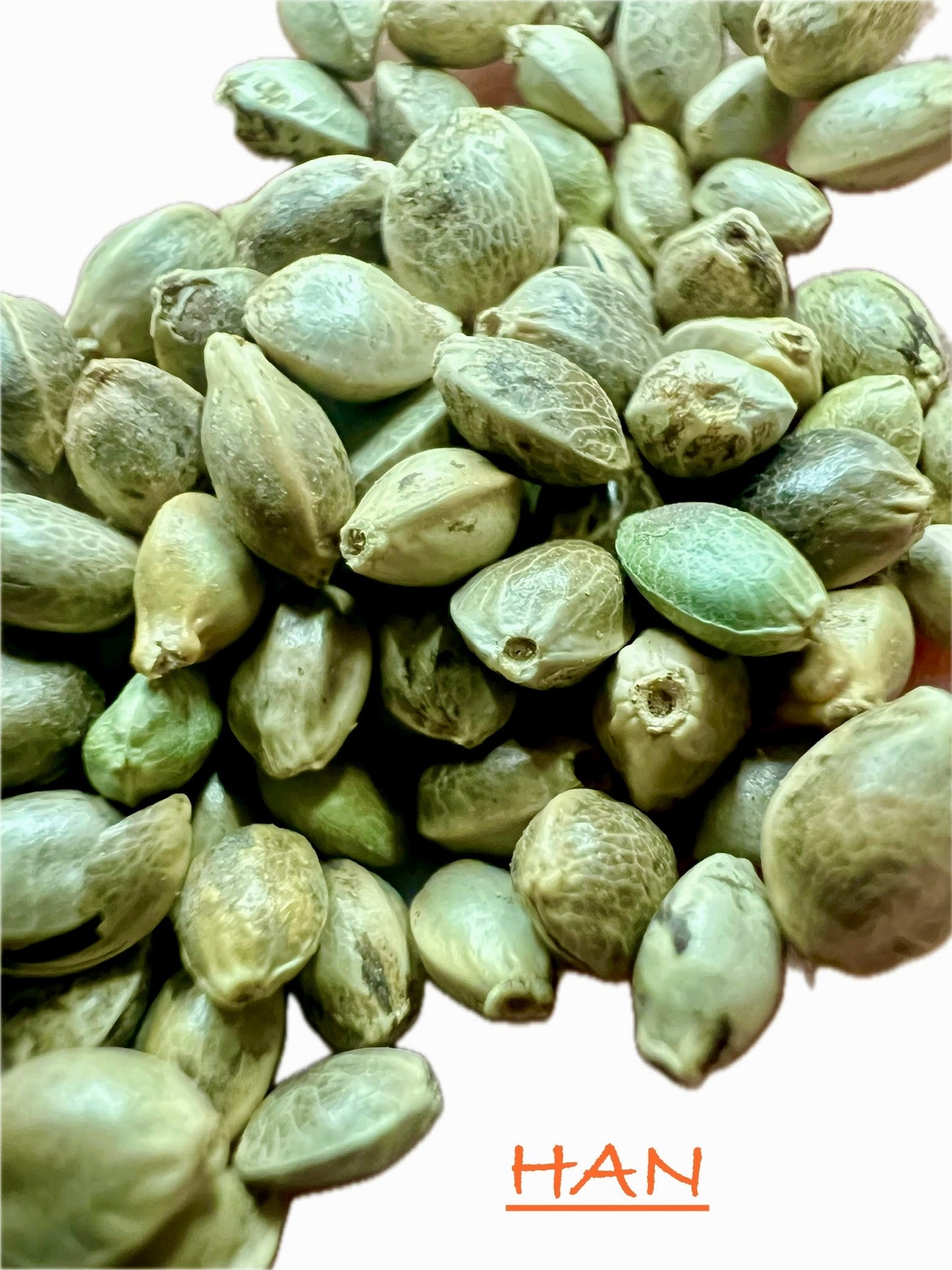 Ripkitty International & Domestic Raw Viable Hemp Seeds Sold in Bulk for Poultry, Equine Feeding, & Livestock