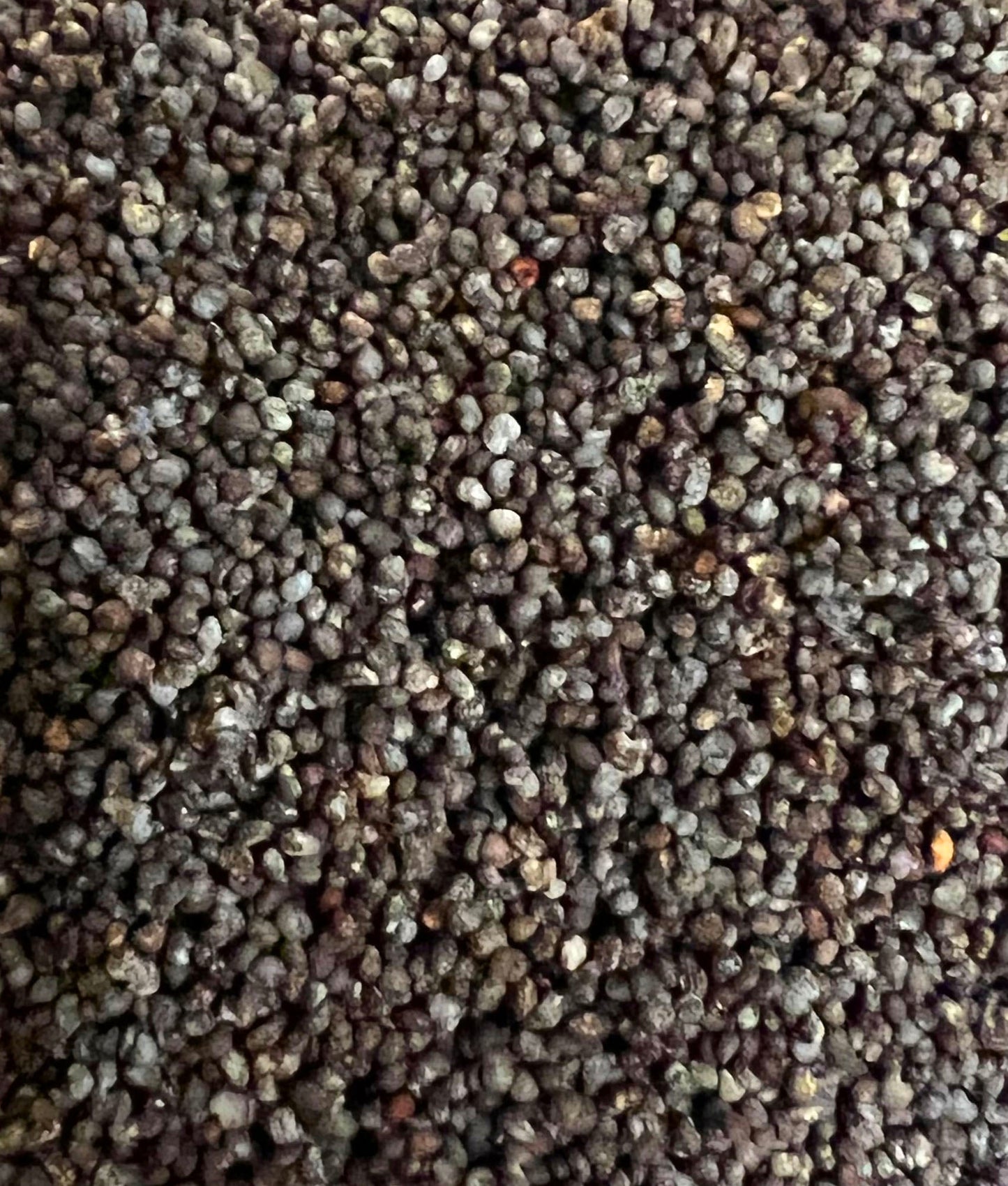 Ripkitty Premium Organic Culinary Poppy Seeds
