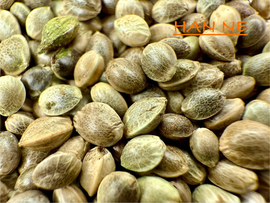 Ripkitty International & Domestic Raw Viable Hemp Seeds Sold in Bulk for Poultry, Equine Feeding, & Livestock