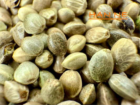 Ripkitty International & Domestic Raw Viable Hemp Seeds Sold in Bulk for Poultry, Equine Feeding, & Livestock